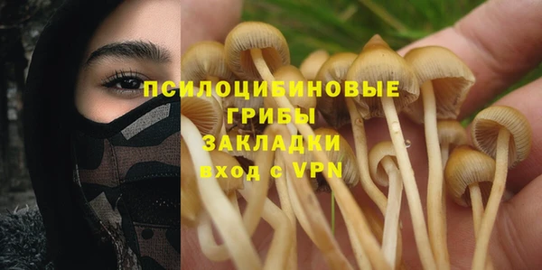 Альфа ПВП Сосновоборск