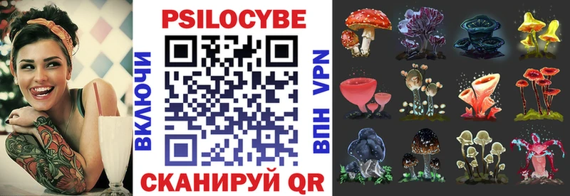 Купить  Среднеуральск  Псилоцибиновые грибы MAGIC MUSHROOMS 